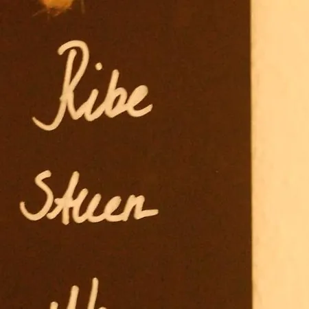 Hotel Ribe 3*