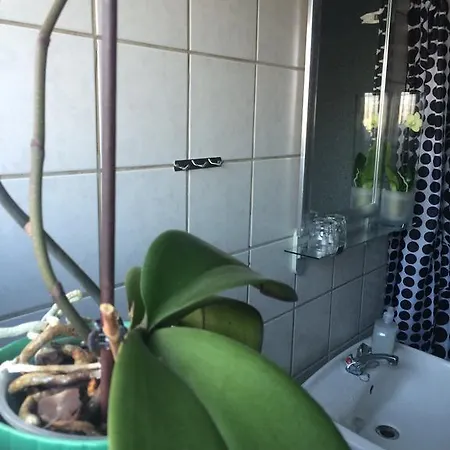 Hotel Ribe 여관 리베