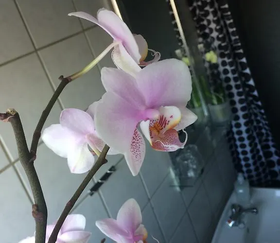 Hotel Ribe Värdshus